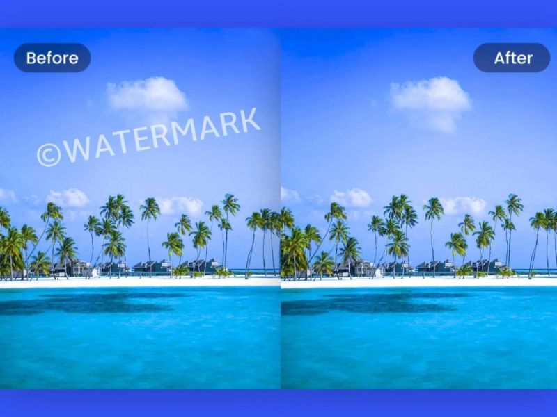 Tải Photoroom Mod APK (Full Unlocked Premium) v2026.27.02 Xóa Logo, Hình Mờ Trong Photoroom Mod APK