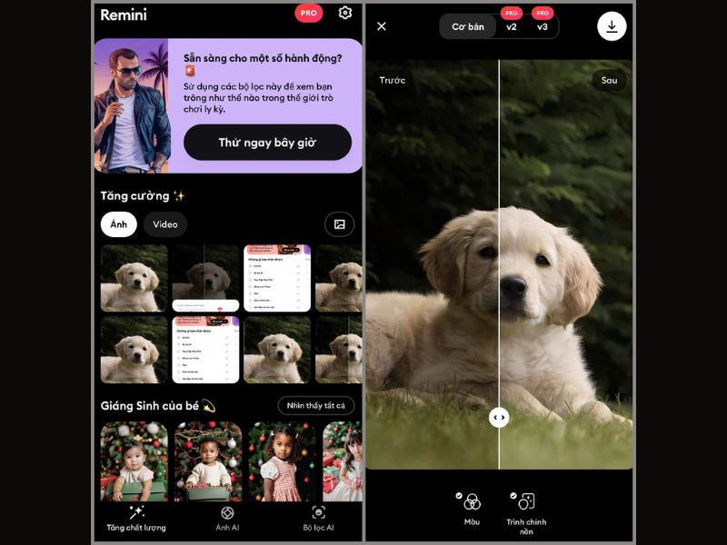 Tải Remini Theartpics Mod Apk (Mở Khóa Premium) v3.8.4 Xử Lý Ảnh Chuyên Nghiệp Trong Remini Theartpics Mod Apk