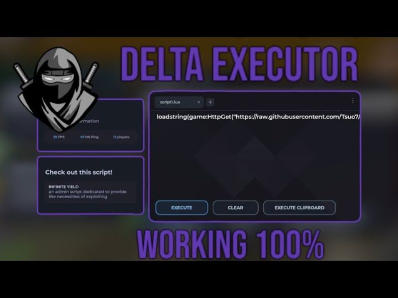 Tải Hack Blox Fruit VN Delta X v2.721 Mới Nhất Engine thực thi tốc độ cao ổn định trong Hack Blox Fruit VN Delta X