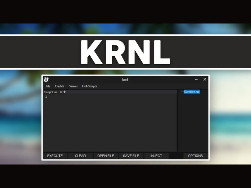 Tải Hack Blox Fruit Krnl VNG v2.721 Mới Nhất Hack Blox Fruit Krnl VNG Là Ứng Dụng Gì?
